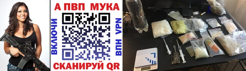 Alfa_PVP СК КРИС Дагестанские Огни