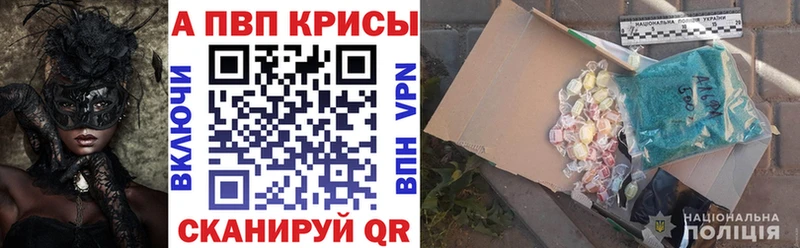 Альфа ПВП СК КРИС  Дагестанские Огни 