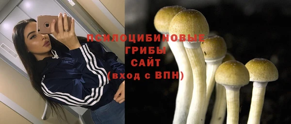 ПСИЛОЦИБИНОВЫЕ ГРИБЫ Богданович