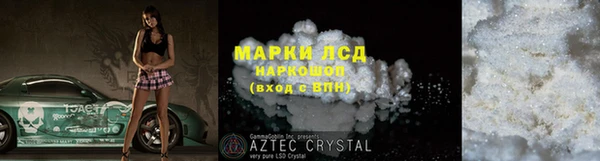 ПСИЛОЦИБИНОВЫЕ ГРИБЫ Богданович