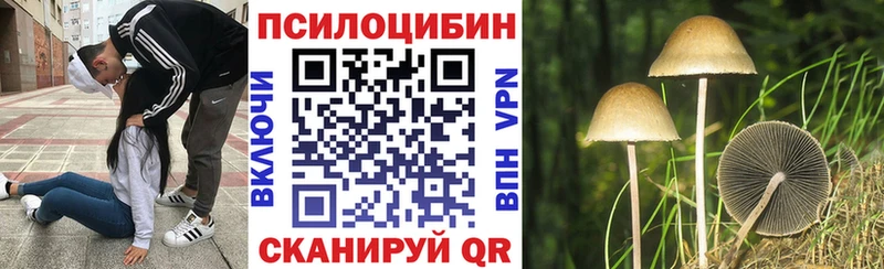 Псилоцибиновые грибы MAGIC MUSHROOMS  ссылка на мегу   Дагестанские Огни 